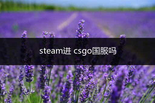 steam进 csgo国服吗