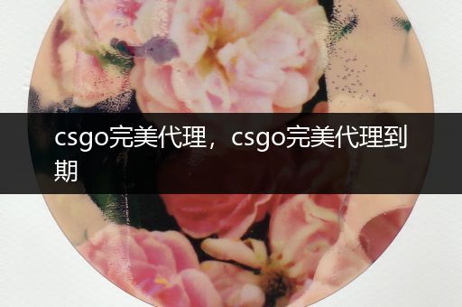 csgo完美代理，csgo完美代理到期