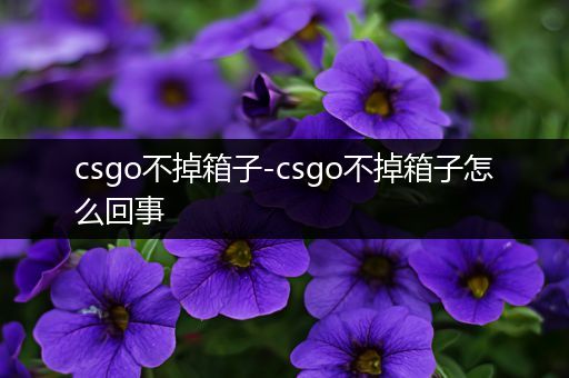 csgo不掉箱子-csgo不掉箱子怎么回事