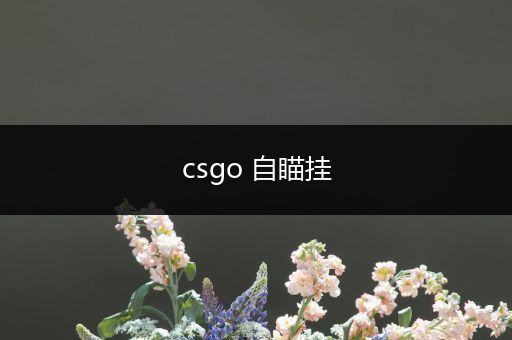 csgo 自瞄挂