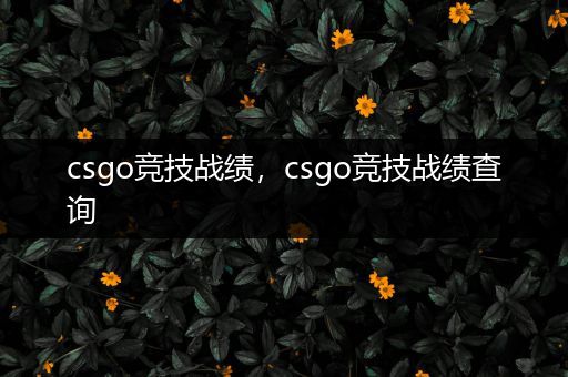 csgo竞技战绩，csgo竞技战绩查询