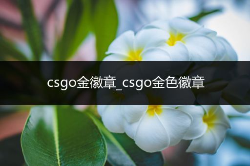 csgo金徽章_csgo金色徽章