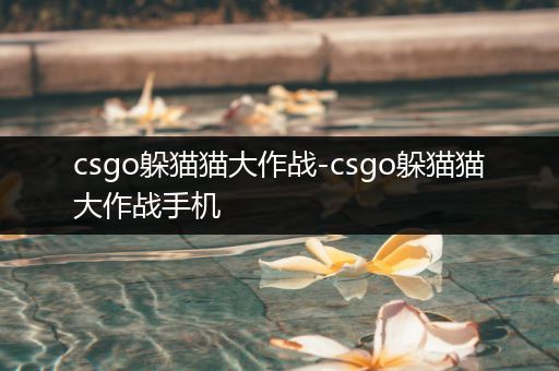 csgo躲猫猫大作战-csgo躲猫猫大作战手机