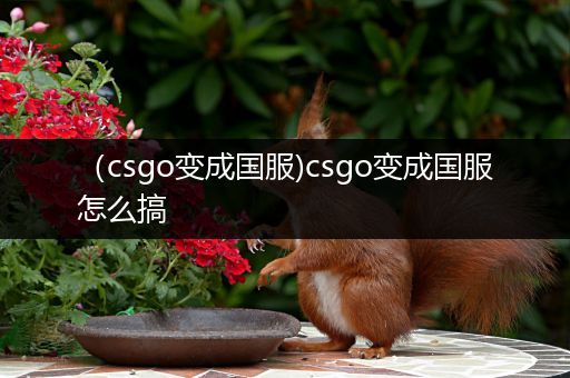 （csgo变成国服)csgo变成国服怎么搞