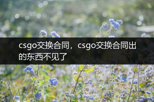 csgo交换合同，csgo交换合同出的东西不见了