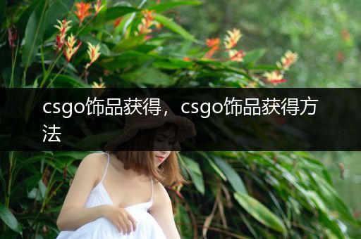 csgo饰品获得，csgo饰品获得方法