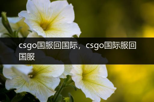 csgo国服回国际，csgo国际服回国服