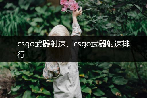 csgo武器射速，csgo武器射速排行