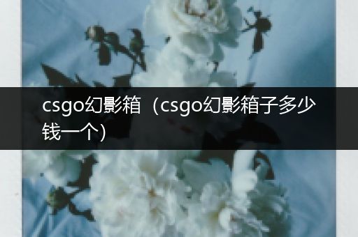 csgo幻影箱（csgo幻影箱子多少钱一个）