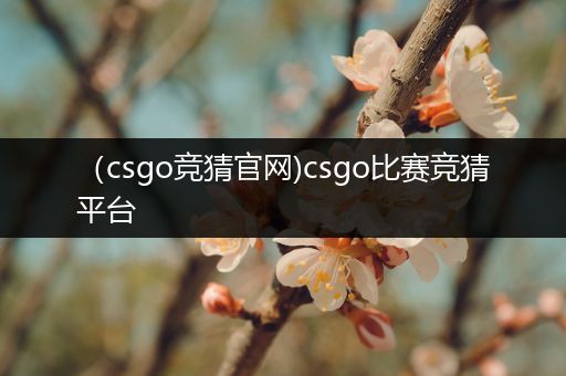 （csgo竞猜官网)csgo比赛竞猜平台