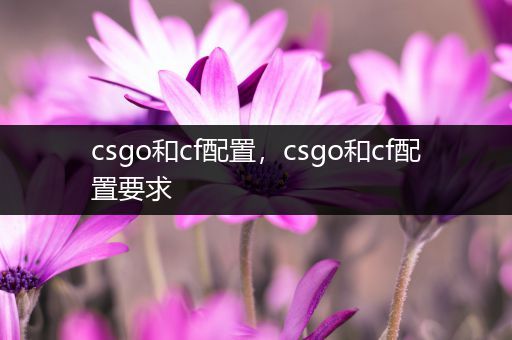 csgo和cf配置，csgo和cf配置要求