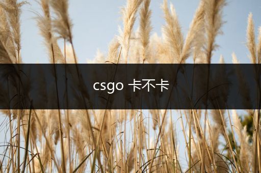 csgo 卡不卡