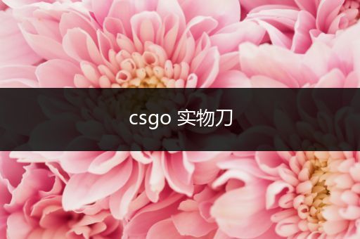 csgo 实物刀