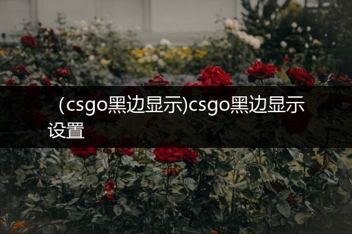 （csgo黑边显示)csgo黑边显示设置