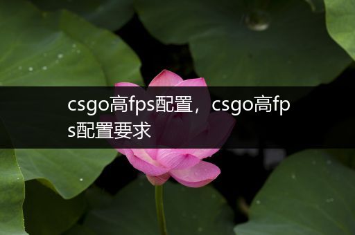 csgo高fps配置，csgo高fps配置要求