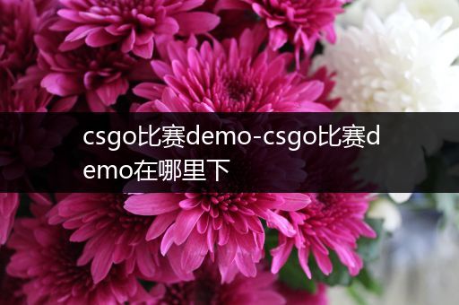 csgo比赛demo-csgo比赛demo在哪里下