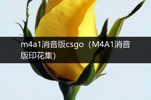 m4a1消音版csgo（M4A1消音版印花集）