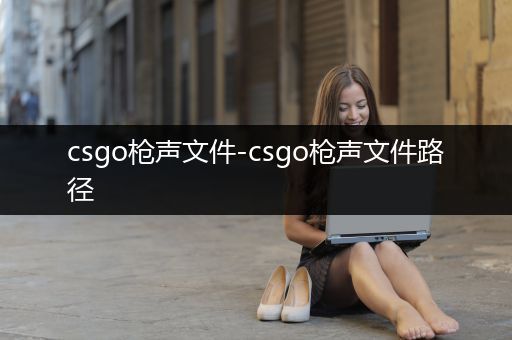 csgo枪声文件-csgo枪声文件路径