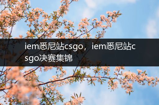 iem悉尼站csgo，iem悉尼站csgo决赛集锦