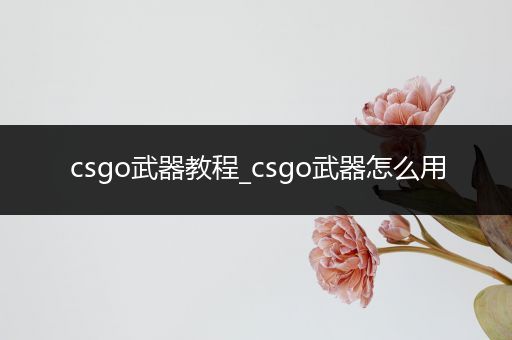 csgo武器教程_csgo武器怎么用