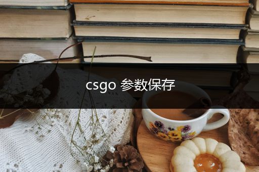 csgo 参数保存