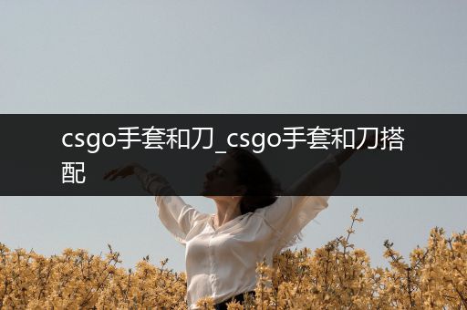 csgo手套和刀_csgo手套和刀搭配