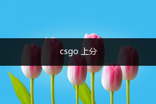 csgo 上分