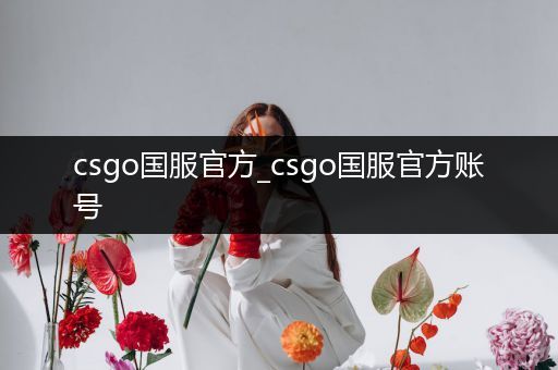 csgo国服官方_csgo国服官方账号