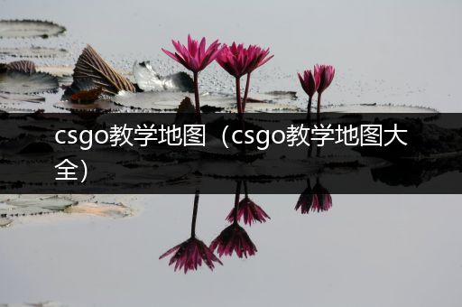 csgo教学地图（csgo教学地图大全）