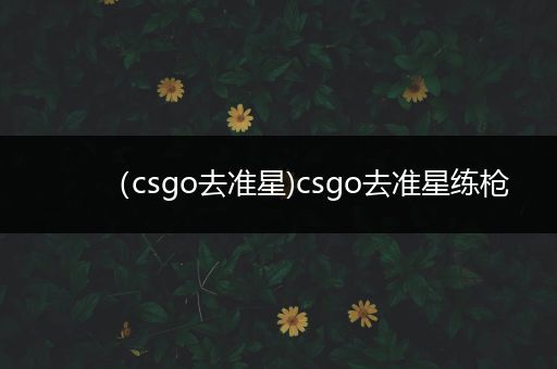 （csgo去准星)csgo去准星练枪