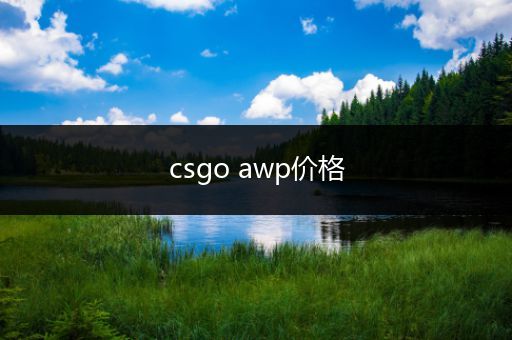 csgo awp价格