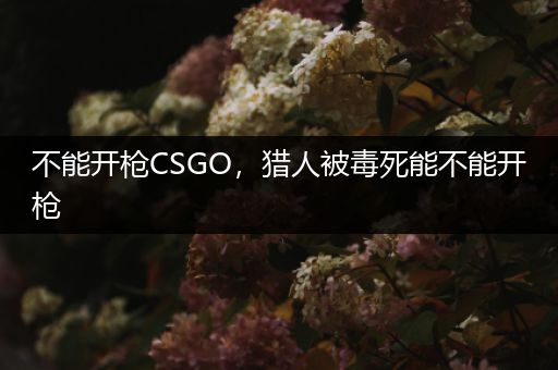 不能开枪CSGO，猎人被毒死能不能开枪