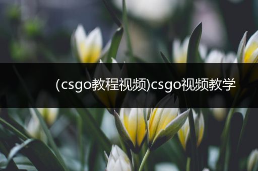 （csgo教程视频)csgo视频教学