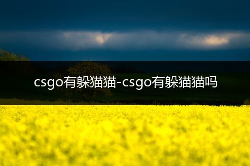 csgo有躲猫猫-csgo有躲猫猫吗