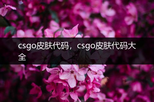 csgo皮肤代码，csgo皮肤代码大全