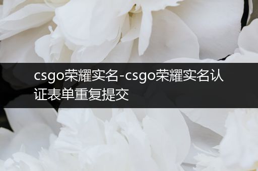 csgo荣耀实名-csgo荣耀实名认证表单重复提交