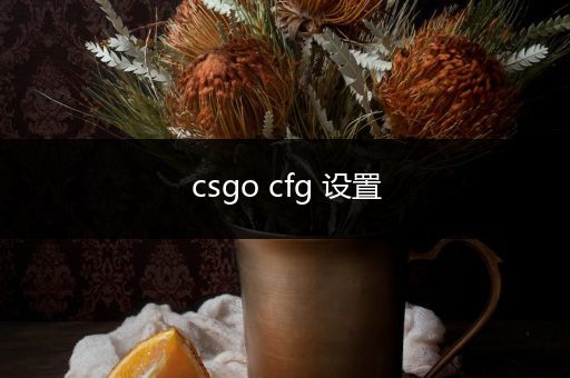 csgo cfg 设置