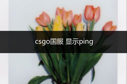 csgo国服 显示ping