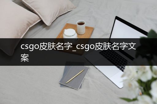 csgo皮肤名字_csgo皮肤名字文案