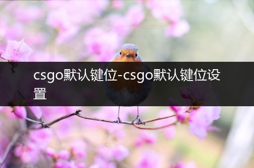 csgo默认键位-csgo默认键位设置