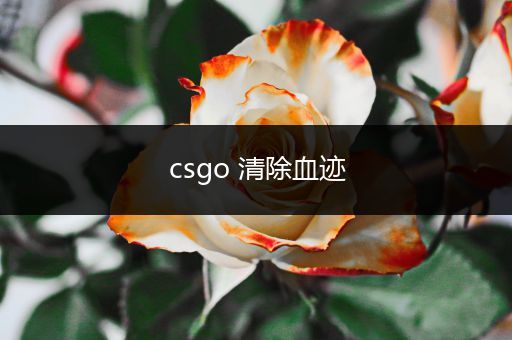 csgo 清除血迹