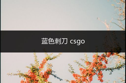 蓝色刺刀 csgo