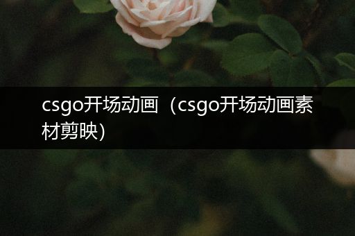 csgo开场动画（csgo开场动画素材剪映）