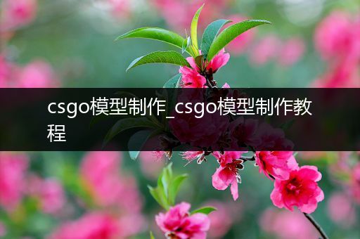 csgo模型制作_csgo模型制作教程