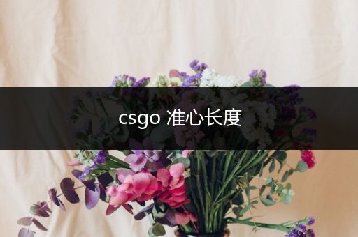 csgo 准心长度