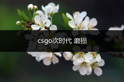 csgo次时代 磨损