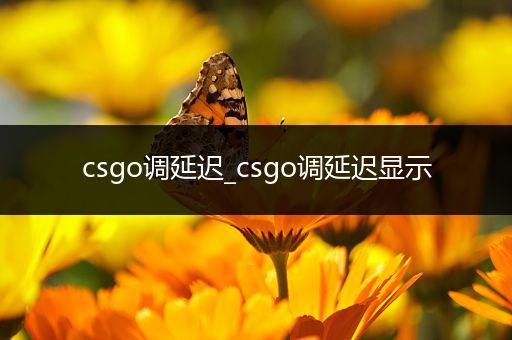 csgo调延迟_csgo调延迟显示