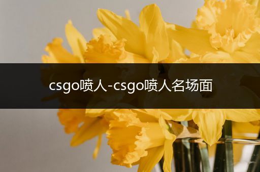 csgo喷人-csgo喷人名场面