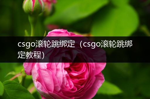 csgo滚轮跳绑定（csgo滚轮跳绑定教程）