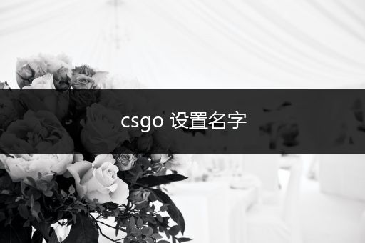 csgo 设置名字